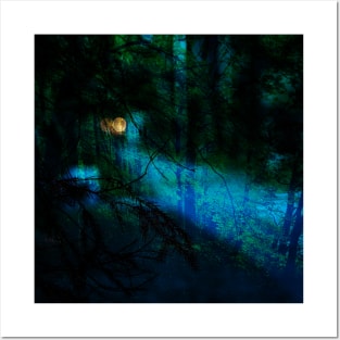 Walk through the forest at night Posters and Art